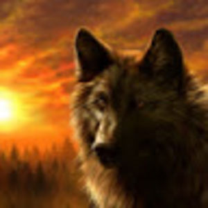 Meet your Posher, Cheyenne